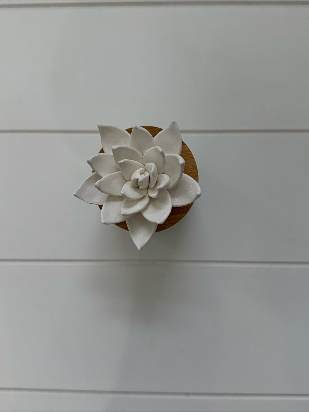 White Ceramic Succulent diffuser - Picture 4 of 4